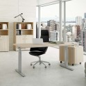 MESA ELEVABLE OFICINA LEVEL DE JGORBE (2 MOTORES)