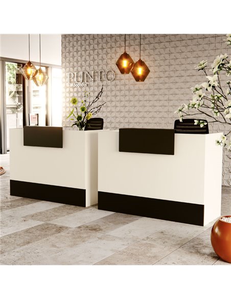 MOSTRADOR RECEPCIÓN AVANCE DE KESTA