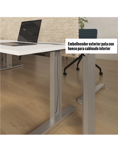 Mesa de oficina T-Fusion Panel de Emobok