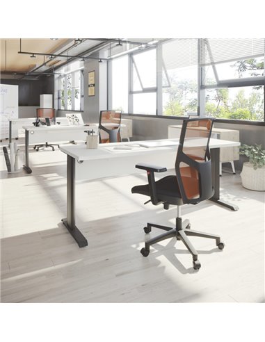 Mesa para aula T-Fusion Panel de Emobok