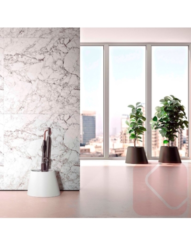 JARDINERA OFICINA CONEE DE SYSTEMTRONIC