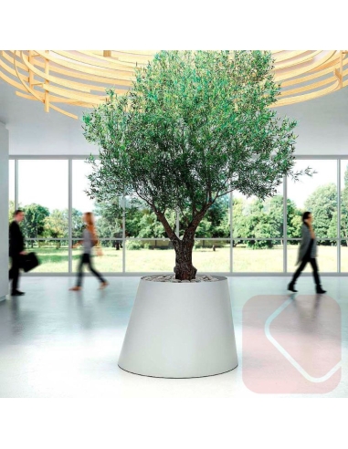 JARDINERA OFICINA CONEE DE SYSTEMTRONIC