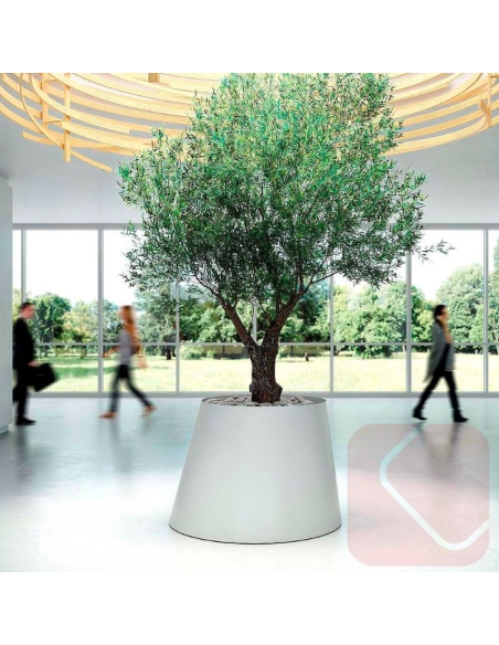 JARDINERA OFICINA CONEE DE SYSTEMTRONIC