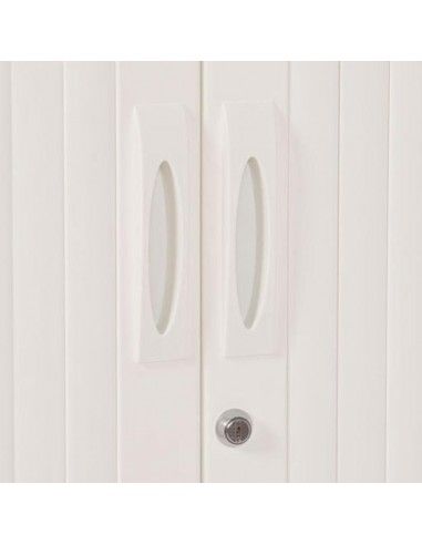 Detalle tirador y cerradura armario oficina metálico persiana vertical de Gapsa Detalle tirador y cerradura armario oficina metálico persiana vertical de Gapsa