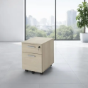 Cajonera de oficina con cajón y archivo con cerradura | Laoficinaonline