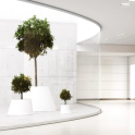 Jardinera Conee de diseño para oficinas y espacios contract | Laoficinaonline