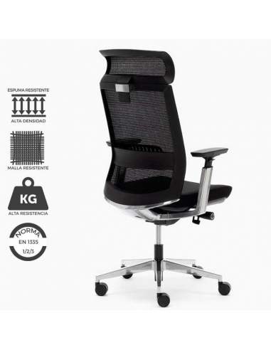Sillón director modelo Toronto. Respaldo de malla con soporte lumbar. Mecanismo sincro avanzado. Sillón director modelo Toronto. Respaldo de malla con soporte lumbar. Mecanismo sincro avanzado.